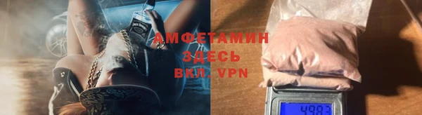 молекула духа Алексеевка
