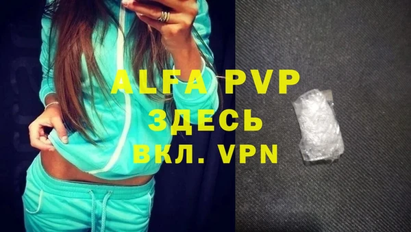 молекула духа Алексеевка