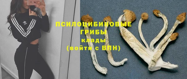 прущие грибы Алексин