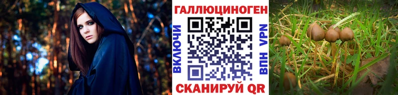 Псилоцибиновые грибы Cubensis  где продают наркотики  Уфа 